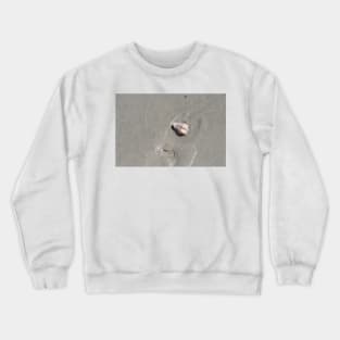 Seashell by the Seashore Crewneck Sweatshirt